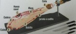 Plat de pernil ibèric de gla amb pa i tomàquet